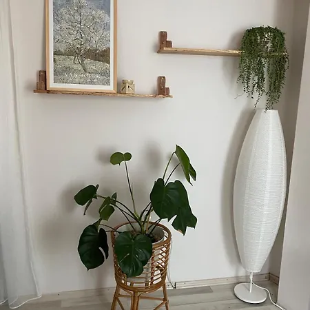 Lägenhet Air Conditioned - Great Location, 2min To Bazaar And Çanakkale
